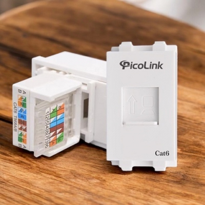 Nhân Mạng RJ45 Cat6, Modul Rack Cat6 PicoLink PL-19166-KT